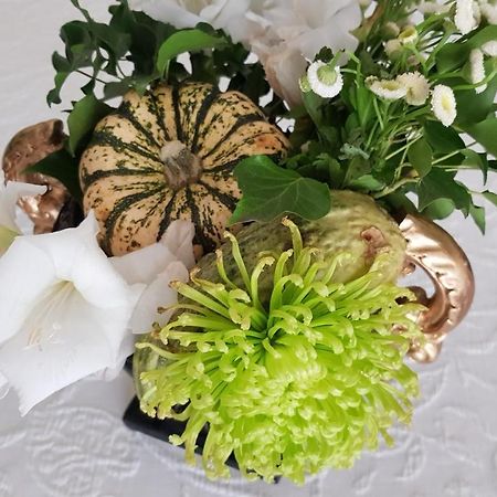 Das Kleine Hotel Iphofen, Fruehstueckszauber, No Waste, Nachhaltig, Nahe Aller Weingueter, Knauf Gips Kg Und Connekt, Kleines Secret Mit Garten & Terrassen, Tv Mirrorring, 55" Tv, Fine Dining, Hunde Willkommen Bagian luar foto