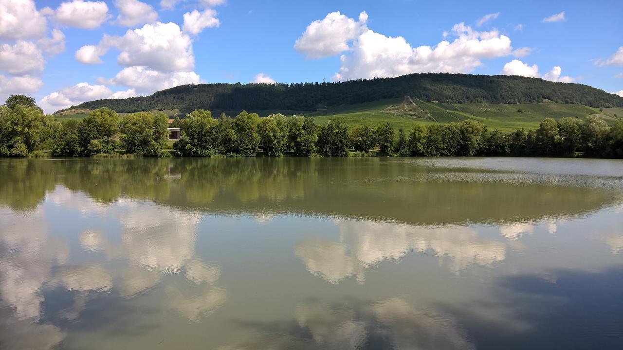 Das Kleine Hotel Iphofen, Fruehstueckszauber, No Waste, Nachhaltig, Nahe Aller Weingueter, Knauf Gips Kg Und Connekt, Kleines Secret Mit Garten & Terrassen, Tv Mirrorring, 55" Tv, Fine Dining, Hunde Willkommen Bagian luar foto