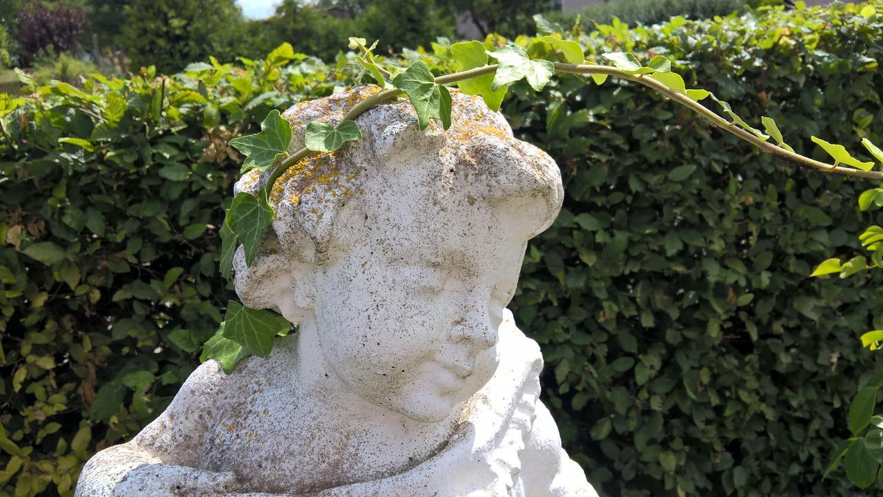 Das Kleine Hotel Iphofen, Fruehstueckszauber, No Waste, Nachhaltig, Nahe Aller Weingueter, Knauf Gips Kg Und Connekt, Kleines Secret Mit Garten & Terrassen, Tv Mirrorring, 55" Tv, Fine Dining, Hunde Willkommen Bagian luar foto